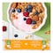 Canderel Monk Fruit Sachets with Erythritol 100 Sachets, 150g