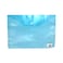 Shutter Clear Bag Envelope A4 Assorted
