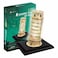 3D PZL LEANING TOWER OF PISA L502H