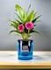 vsell24&nbsp;High Durability Blue Good Morning Pots for Home or Office Decoration With Hydroponic System - Brighten Your Environment with Automatic Water Absorption (12cm x 10cm)