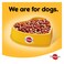 Pedigree Beef And Vegetables Dry Food For Adult Dog 3kg