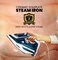 Dry and Wet Steam Iron With Self-clean function Adjustable Temperature Control Ceramic Soleplate 3000W Blue