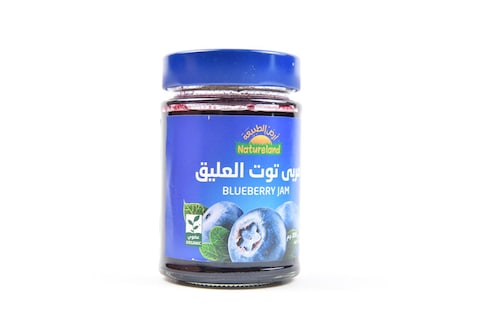 NATURELAND BLUEBERRY JAM 200G