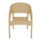 Plastic Bamboo Chair