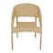 Plastic Bamboo Chair