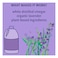 Originally Yellow All Purpose Vinegar Cleaner  Concentrate Organic Lavender 1.89L Pack of 2
