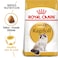 Feline Breed Nutrition Ragdoll Adult 2 KG