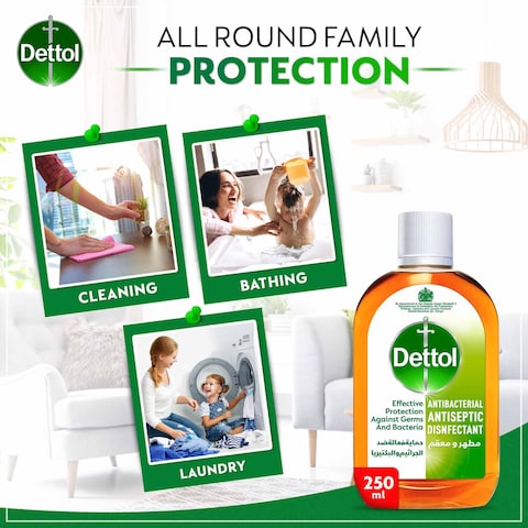 Dettol Antibacterial Antiseptic Disinfectant Liquid, 250ml