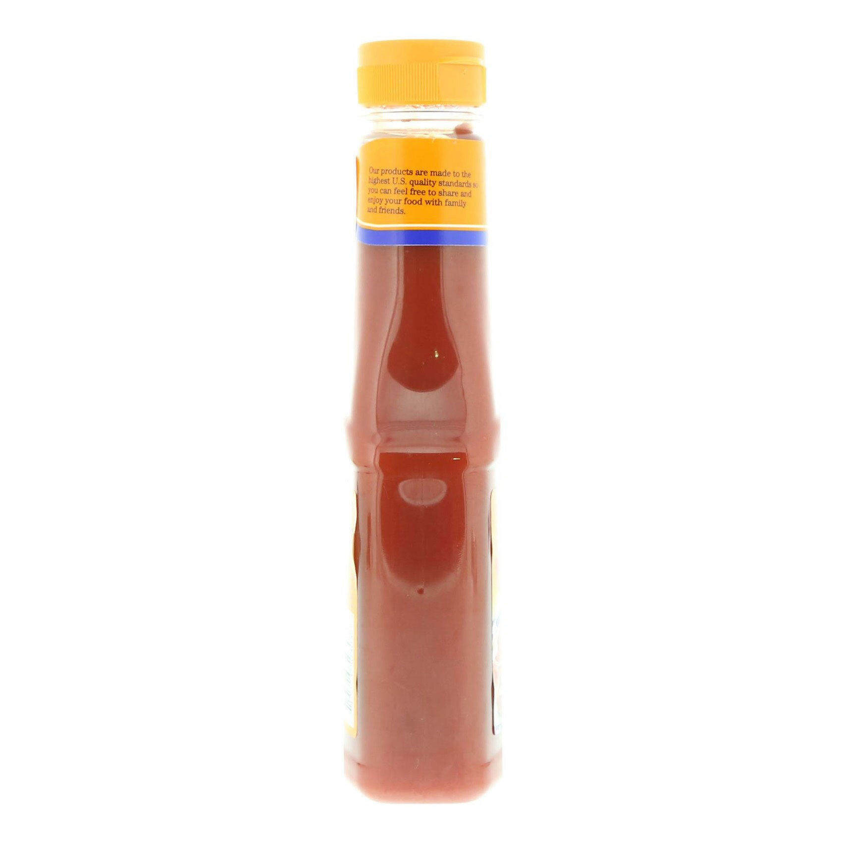 American Garden Ketchup Sqz 425 Gram product thumbnail 4