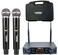 Platinum U20 Professional UHF Dual Wireless Karaoke Microphone System