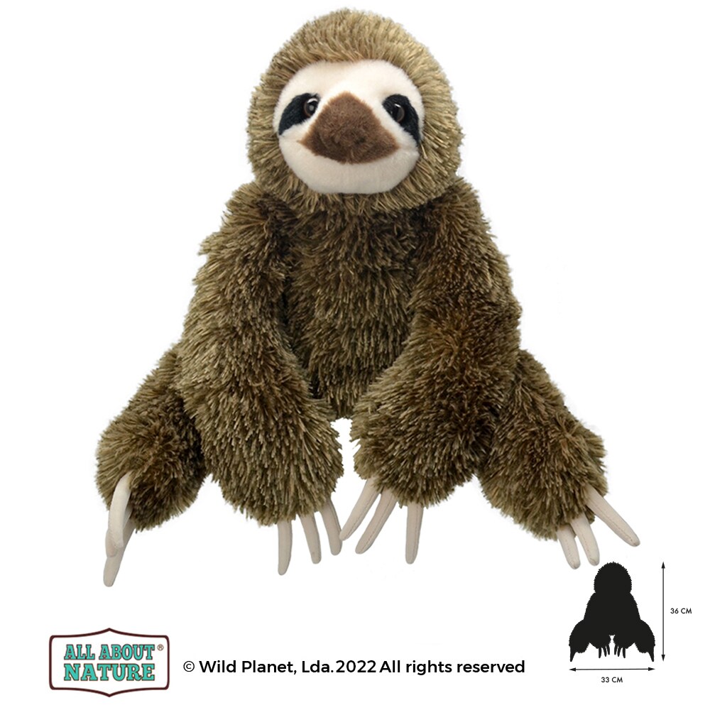 Buy SLOTH Online | Carrefour UAE