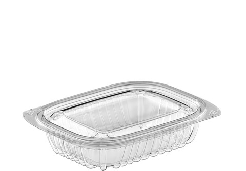 Buy 25 SET - 12oz - Plastic Clear Salad Container /Deli Container - With Clear Lid in UAE