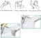 30pcs Underarm Sweat Pads - Disposable Absorbent Underarm Sweat Shields Unisex