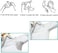 30pcs Underarm Sweat Pads - Disposable Absorbent Underarm Sweat Shields Unisex
