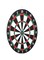 Generic Dartboard 17Inch