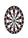 Generic Dartboard 17Inch