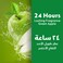 Dettol Antibacterial Floor Cleaner Green Apple Scent, 3L
