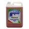 Magnee Disinfectant Pine 5L