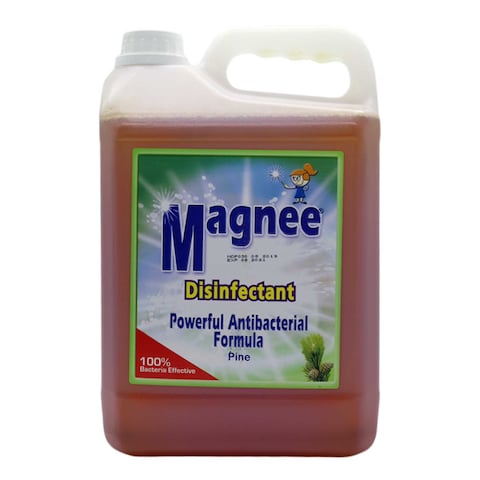 Magnee Disinfectant Pine 5L
