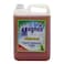 Magnee Disinfectant Pine 5L