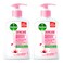 Dettol Skincare Anti-Bacterial Liquid Handwash 400ml Pack of 2