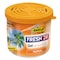 Shield Fresh 24 Gel-Tropical