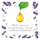 Air Wick Electrical Diffuser Lavender And Camomile Refill 19ml