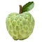 Custard Apple