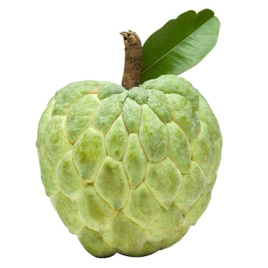 Custard Apple 1pc