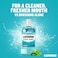 Listerine Mouthwash Cool Mint 500ml Pack of 2