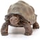 Schleich Giant Tortoise Small
