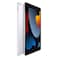Apple iPad 9 Wifi 10.2 64GB Silver