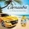 Turtle Wax Carnauba Tropical Wash &amp; Wax
