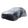 Generic-Clothing Hood PE Film Rain Shield Disposable Car Clothes Disposable Car Clothing Disposable Car Cover Waterproof Transparent Plastics Dustproof Cover Car Rain Cover