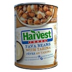 Buy Harvest Fava Beans with Tahini - 400 gram in Egypt