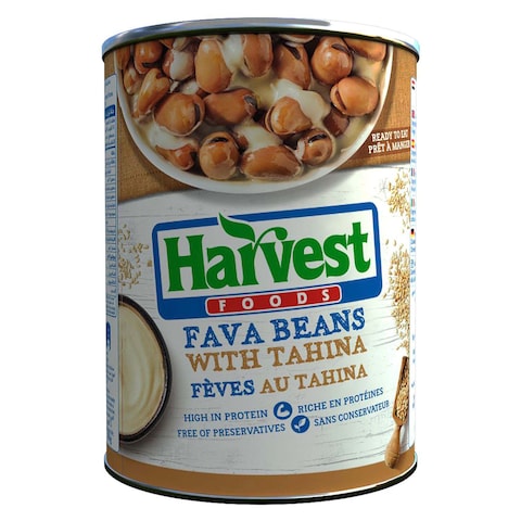 Buy Harvest Fava Beans with Tahini - 400 gram in Egypt