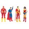 DC Universe Action Figure (30 cm, Styles May Vary)