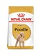 Breed Health Nutrition Poodle Adult 1.5 KG