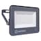 LEDvance LED Eco Floodlight (30 W, Day Light)
