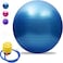 Sky-Touch Yoga Ball Anti-Burst, Exercise Ball With Air Pump Thickened Stability Balance Ball For Physical Fitness Exercise