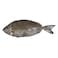 Saudi Fresh Safi kg