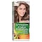 Garnier Hair Color Natural Dark Blonde No.6