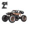 Kidz Pro Remote Control Raptor