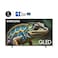 Samsung 65 Inch TV QLED 4K Q70D Series 7 with Quantum Dot 4K AI Upscaling Samsung Tizen OS Motion Xcelerator 120Hz 2024 Model - QA65Q70DAUXZN