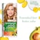 Garnier Color Naturals Cr&egrave;me Nourishing Permanent Hair Color, 7.3, Hazel Blonde