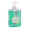 Easy Care Morning Breath Liquid Hand Soap - 500ml
