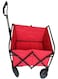 Generic Multifunctional Shopping Trolley