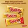 Twix® (تويكس) توب بسكويت بالشوكولاته 21 جم