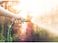 Tramontina Since 1911, Made In Brazil Flex 15M Green Garden Hose