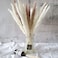 45cm Natural Dried Pampas Grass 30 Pcs for Flower Arrangements Home Decor (White)